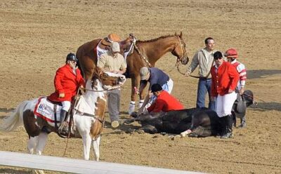 Quando l’infortunio al cavallo è pura poesia